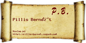 Pillis Bernát névjegykártya